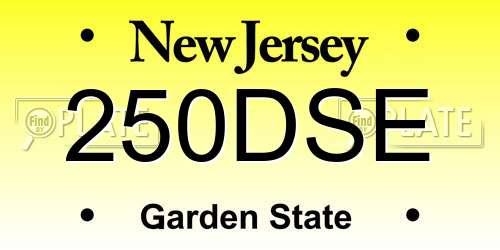 250DSE New Jersey License Plate