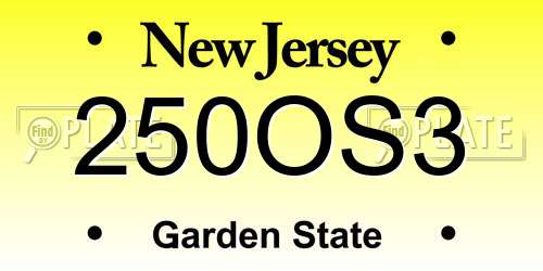250OS3 New Jersey License Plate