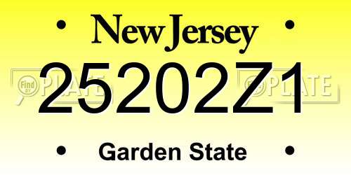 25202Z1 New Jersey License Plate