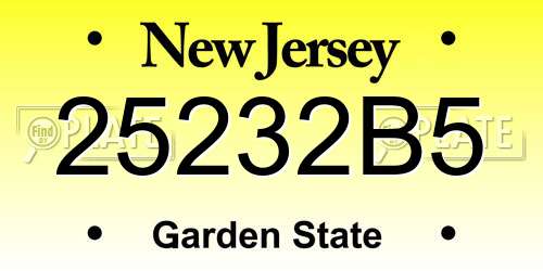 25232B5 New Jersey License Plate