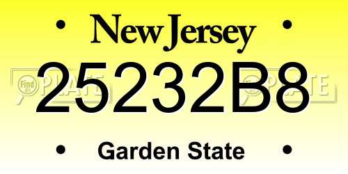 25232B8 New Jersey License Plate