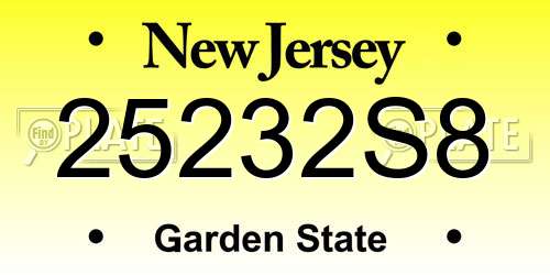 25232S8 New Jersey License Plate