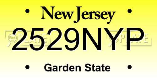 2529NYP New Jersey License Plate