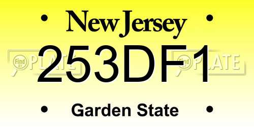253DF1 New Jersey License Plate