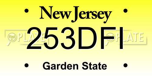 253DFI New Jersey License Plate