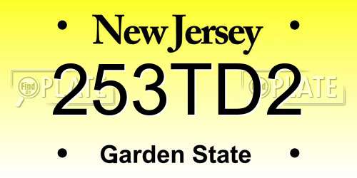 253TD2 New Jersey License Plate