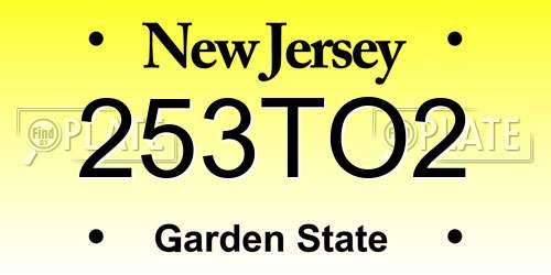 253TO2 New Jersey License Plate