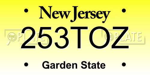 253TOZ New Jersey License Plate