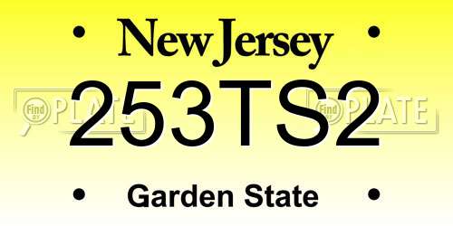253TS2 New Jersey License Plate