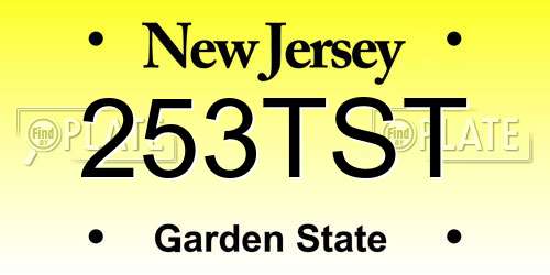 253TST New Jersey License Plate