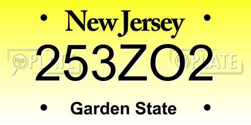 253ZO2 New Jersey License Plate