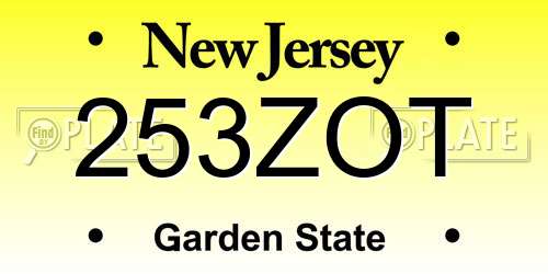 253ZOT New Jersey License Plate