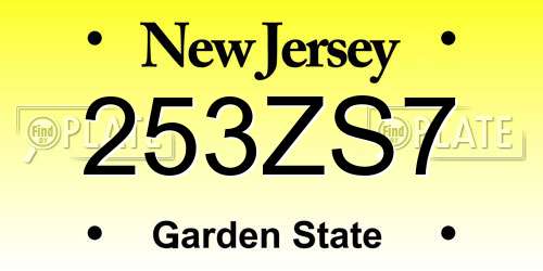 253ZS7 New Jersey License Plate