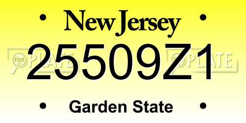 25509Z1 New Jersey License Plate