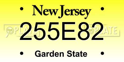 255E82 New Jersey License Plate