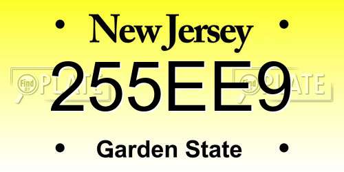 255EE9 New Jersey License Plate