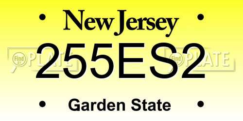255ES2 New Jersey License Plate
