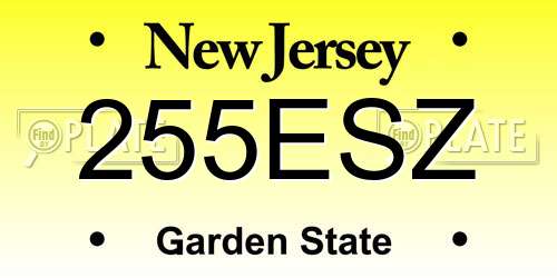 255ESZ New Jersey License Plate