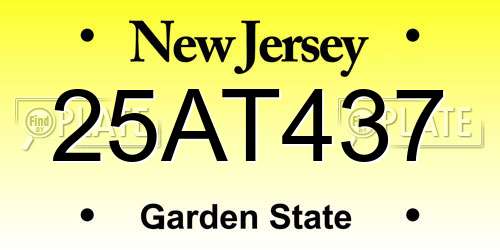 25AT437 New Jersey License Plate