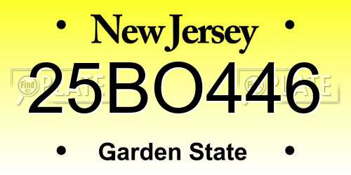 25BO446 New Jersey License Plate