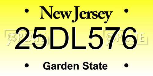 25DL576 New Jersey License Plate