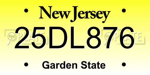 25DL876 New Jersey License Plate