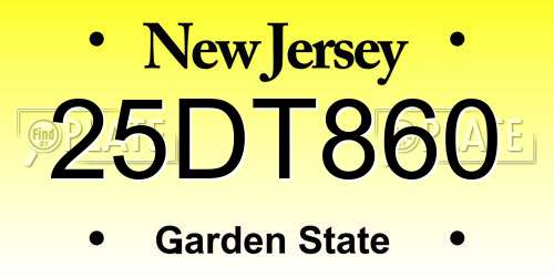 25DT860 New Jersey License Plate