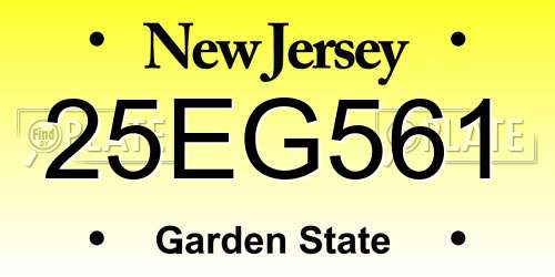 25EG561 New Jersey License Plate
