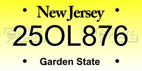 25OL876 New Jersey License Plate