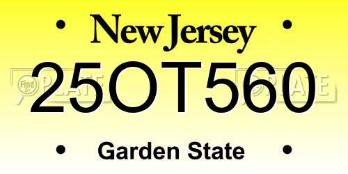 25OT560 New Jersey License Plate