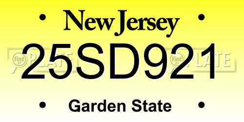 25SD921 New Jersey License Plate