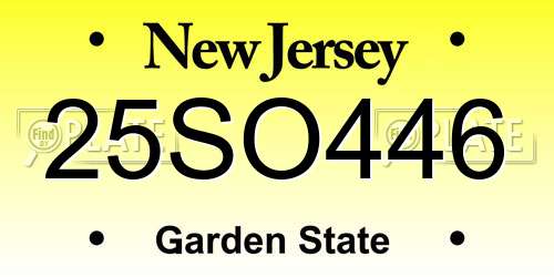 25SO446 New Jersey License Plate