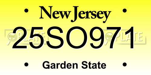 25SO971 New Jersey License Plate