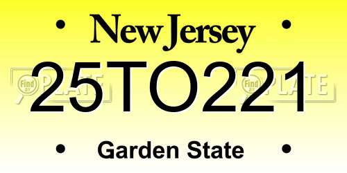 25TO221 New Jersey License Plate