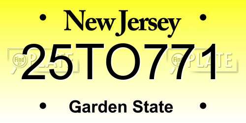 25TO771 New Jersey License Plate