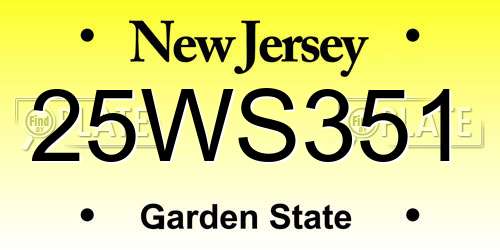 25WS351 New Jersey License Plate
