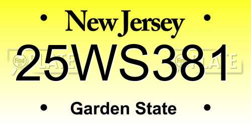 25WS381 New Jersey License Plate