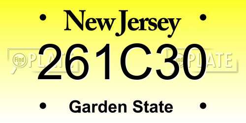 261C30 New Jersey License Plate