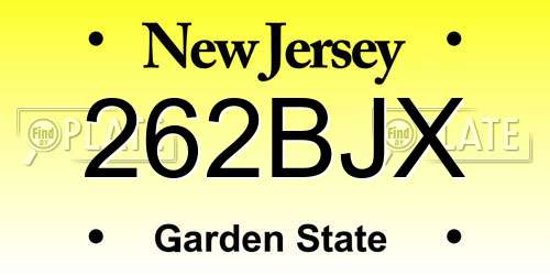 262BJX New Jersey License Plate