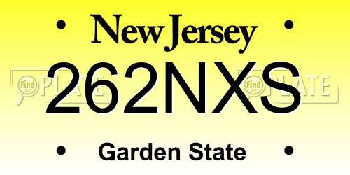 262NXS New Jersey License Plate