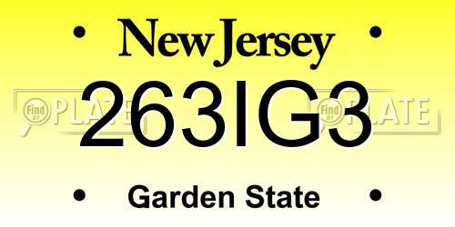 263IG3 New Jersey License Plate