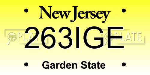 263IGE New Jersey License Plate
