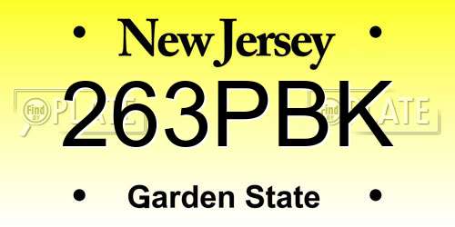 263PBK New Jersey License Plate