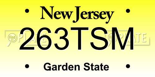 263TSM New Jersey License Plate