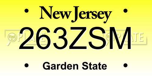 263ZSM New Jersey License Plate