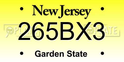 265BX3 New Jersey License Plate