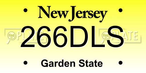 266DLS New Jersey License Plate