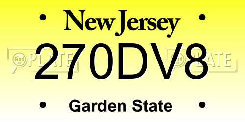 270DV8 New Jersey License Plate