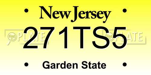 271TS5 New Jersey License Plate