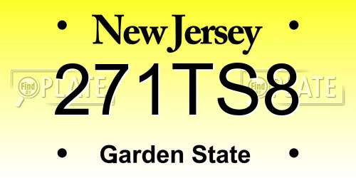 271TS8 New Jersey License Plate